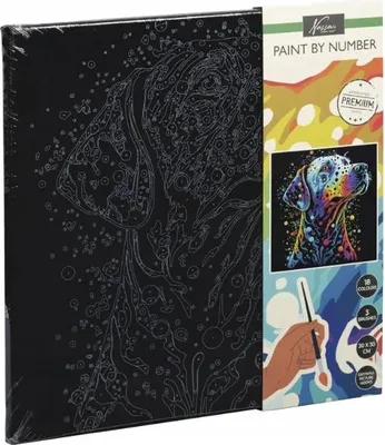 Productafbeelding van Creatief leeuwenplezier - Schilderen op nummer op een zwart canvas