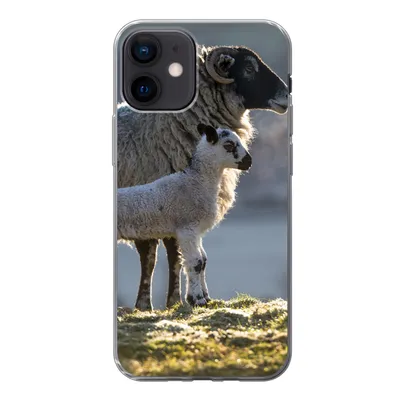 Produktbild von MuchoWow® Handyhülle Schutzhülle Hülle für iPhone 12 Schaf - Lamm - Sonne Silikon Softcase Handy Hülle - Schutzhülle