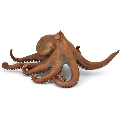 Zdjęcie produktu dla Papo Octopus, 3 lat(a), Marine life, Brązowy, PCW