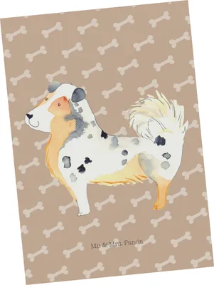 Produktbild von Mr. & Mrs. Panda Postkarte Hund Australien Shepherd - Hundeglück - Geschenk, Sprüche, Wauwau, Postkarten, Grußkarte, Ansichtskarten, bildkarte, Spruch, Ansichtskarte