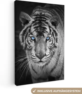 Obrázek produktu pro OneMillionCanvasses® - Plátna - Zvířata - Tygr - Černobílý - Oči - Modrá, nástěnné umění, nástěnné dekorace Obývací pokoj, 60x90cm