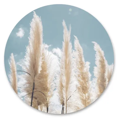 Produktbild von Sticker Kreis PAMPASGRAS Pflanzen 3D Himmel Natur Moderne Muster Wanddekoration Aufkleber für Wohnzimmer Gästezimmer 100 cm x 100 cm