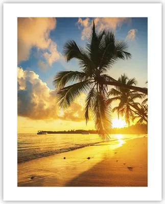 Produktbild von Poster - Poster ohne Rahmen - Meer Strand Palme - 40x50 cm - Wand Bild - Wanddeko - Wandbilder - Kunstposter - Wandposter - Bilder - Kunstdruck - Wanddekoration - Wandbild - P2XPA40x50-3922