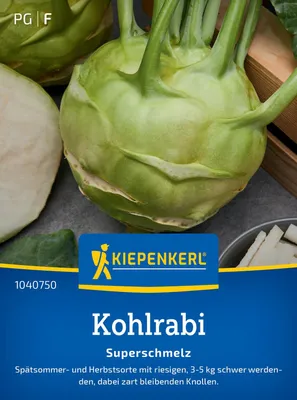 Produktbild von Kiepenkerl Saatgut Kohlrabi Superschmelz für ca. 100 Pflanzen