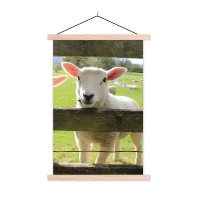 Produktbild von MuchoWow® Textilposter Schafe - Tiere - Bauernhof 60x90 cm mit holzfarbenen Rahmen - Textil