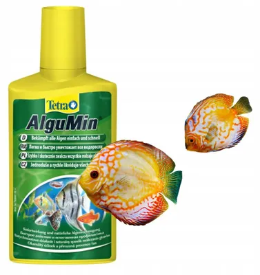 Immagine prodotto di Antialghe acquario dolce Tetra AlguMin Plus liquido, contro le alghe, trattamento per acquari d acqua dolce, 100 ml