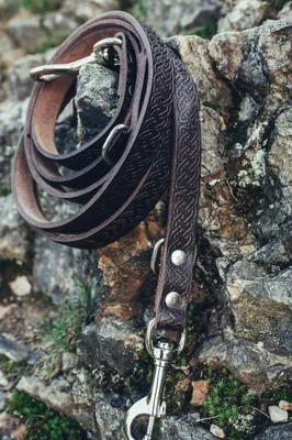Produktbild von Leine oder Hundeleine aus Leder mit Prägung