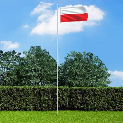 Immagine prodotto di vidaXL Bandiera della Polonia 90 x 150 cm