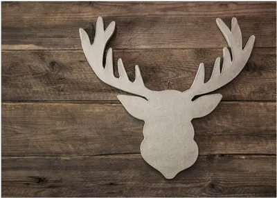 Produktbild von Türmatte Hirsch Landhaus in 50x70 cm als Fussabtreter
