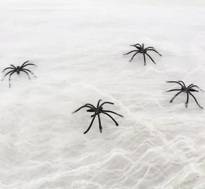 Immagine prodotto di Ragnatela - HALLOWEEN - 20 g + 4 ragni