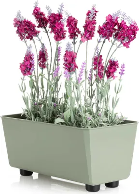 Produktbild von HowHomely | Pflanzkasten - Salvia - 28,5x17 cm - Grau-grüne Farbe - Modernes Design - Wetterfest