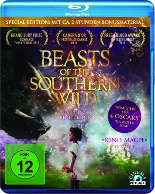 Produktbild von Beasts of the Southern Wild