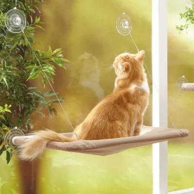 Produktbild von Katzenhängematte am Fenster für die Stange der Katze, Hängebett für Haustiere mit Saugnapf, bequem, langlebig, robust, Stauraum (55 x 32 cm)