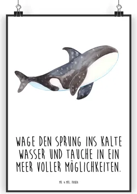 Produktbild von Mr. & Mrs. Panda Bild Orca DIN A3 - Weiß - Geschenk, Orcas, Kunstdruck, Meer, Arbeit, Wandbild, Wal, Büro, wanddeko, Plakat, drucke