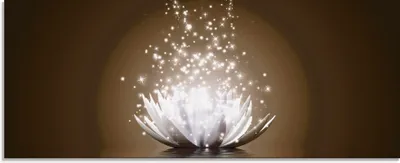 Produktbild von Vadim Georgiev: Magie der Lotus-Blume braun - Glasbild, Größe:50x125 cm / Glasbild