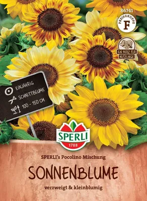 Produktbild von SPERLI Sonnenblumensamen Pocolino Helianthus debilis 15 Pflanzen