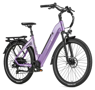 Immagine prodotto di Bicicletta elettrica da donna e da uomo - C5 E-bike da trekking - Motore 48V 250W - Batteria 48V 13,5Ah - Autonomia 60–100 km - Freni a disco idraulici - Ruote da 70 cm