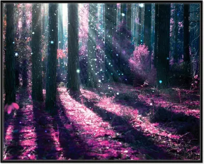 Produktbild von Wallario Wandbild Fantasie im Wald - Pinke Blumen in der Sonne, Größe: 40,30 x 50,30 cm, Poster mit schwarzem Aluminiumrahmen