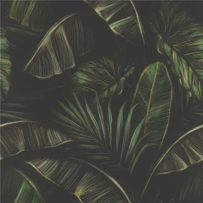 Image de Papier peint 286588 Motif « Jungle botanique » 53 x 1005 cm Rasch Selection Vert