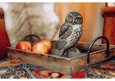 Produktbild von Wildlife Garden DecoBird Steinkauz handgeschnitzt