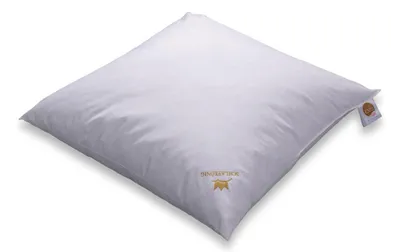 Produktbild von Daunenkissen SCHLAFKÖNIG ® 80x80 15 % Daunen - 85 % Federn