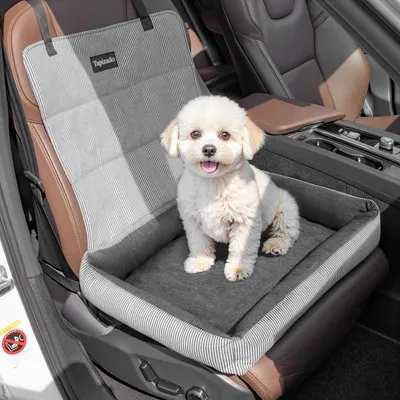 Autositz für kleine Hunde, abnehmbares Bett, bis 11 kg