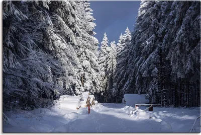 Produktbild von ARTland Leinwandbild Winter im Thüringer Wald II Größe: 30x20 cm