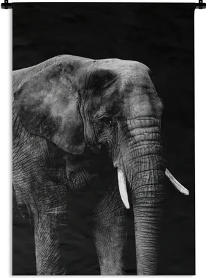 Produktbild von MuchoWow® Wandteppich Wandbehang Elefant mit vor schwarzem Hintergrund - schwarz und weiß 90x135 cm Tapisserie Dekoration Wandtuch - Baumwolle - Wandskulptur