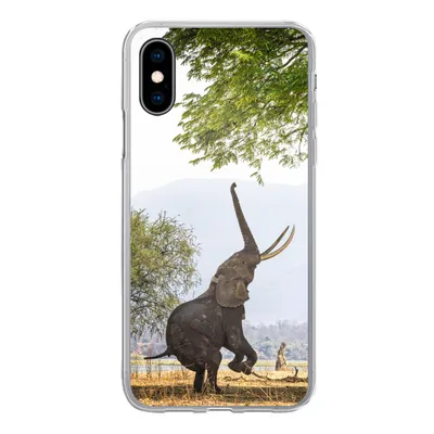 Produktbild von MuchoWow® Handyhülle Schutzhülle Hülle für iPhone X Elefant - Baum - Blätter Silikon Softcase Handy Hülle - Handyhülle