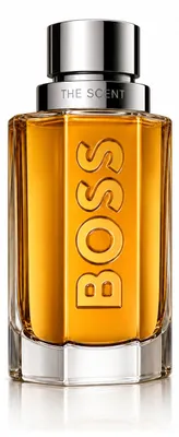 Obrázok produktu pre Hugo Boss Boss The Scent For Him EDT plnitelný 50 ml M
