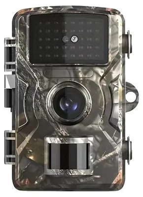 Image de Caméra de surveillance de la faune, vision nocturne infrarouge, détecteur de mouvement, avec carte de 32 Go