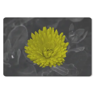 Produktbild von MuchoWow® Schreibtischunterlage Blumen - Aquarell - Löwenzahn 60x40 cm - XXL Mauspad - Großes Mauspad