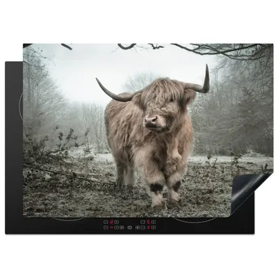 Produktbild von KitchenYeah© Herdabdeckplatte Schottischer Highlander - Wald - Nebel - Kuh - Tiere - Natur , 75x52cm, Küche Deko, Glaskeramikkochfeld Herdabdeckung, Abdeckplatte fùr Kochfeld