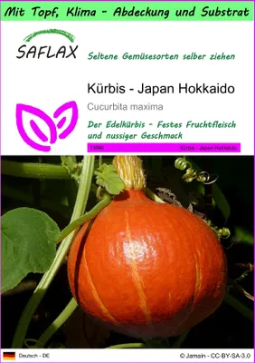 Produktbild von SAFLAX Garden to go - Kürbis - Japan Hokkaido - Cucurbita maxima - 10 Samen - Mit Topf, Klima - Deckel und Anzuchtsubstrat