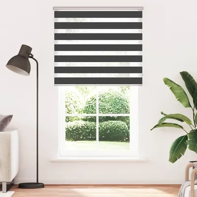 Obrázek produktu pro vidaXL Dvojitá roletka, černá, 125 x 230 cm, šířka látky 120,9 cm, polyester