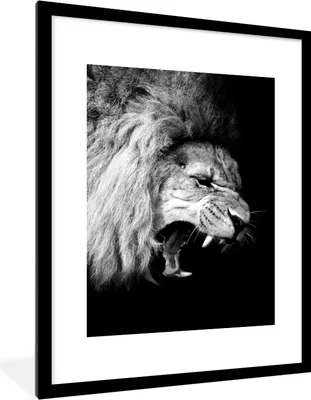 Produktbild von MuchoWow® Gerahmtes Poster Löwe - Porträt - Schwarz - Weiß - Tiere 60x80 cm - Poster mit Schwarzem Bilderrahmen Wandposter Rahmen Foto Bilder - Wohnzimmer - Dekorationen - Prämie