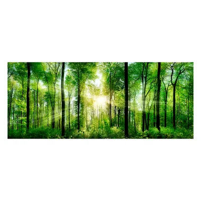 Image de Tableau SUNLIGHT 50x125x2 cm HOMLA