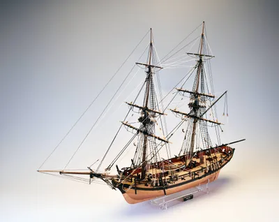 Produktbild von Modellbausatz HMS Speedy Maßstab 1:64