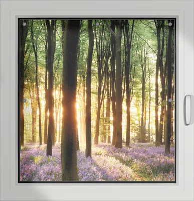 Produktbild von Wallario Lichtschutzbild, Dekorativer Sichtschutz Sonnenschutz 96 x 93 cm mit Motiv: Blaue Hasenglöckchen im Wald mit Sonnenstrahlen - Verdunklung ohne Bohren