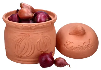 Obrázek produktu pro Terakotový květináč na cibuli s víkem Ø 17,8 cm z terakotové hlíny na skladování