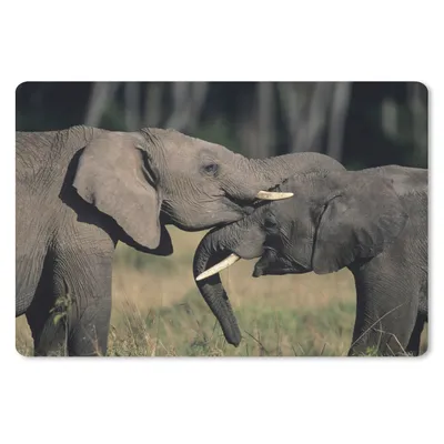 Produktbild von MuchoWow® Schreibtischunterlage Elefant - Tiere - Grau - Natur 60x40 cm - XXL Mauspad - Großes Mauspad