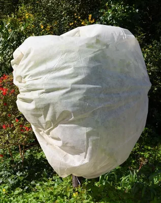 Produktbild von Filmer 25057 Wintervlies-Schutzhaube, 80 x 100 cm, mit Kordelzug, 3er-Set