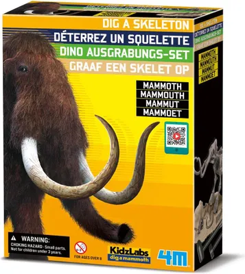 Immagine prodotto di DAM 5663236, 8 anni, Multicolore
