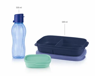 Produktbild von Tupperware To Go Eco 500 ml blau Clipverschluss Trinkflasche Öko Ecoflasche + Eco  Snackbox 590 ml, KI-generiertes Bild