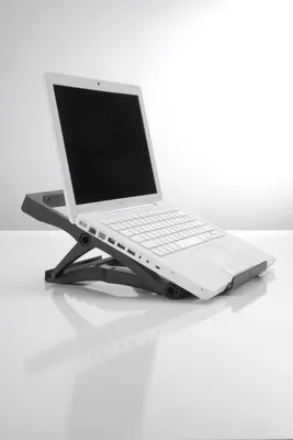 Zdjęcie produktu dla Exponent 56301, Szary, 27,9 cm (11"), 279,4 - 431,8 mm (11 - 17")