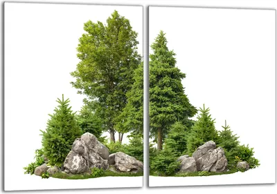 Produktbild von Herdabdeckplatten Set 2x40x52 cm Glaskeramikkochfeld Abdeckung Glas Spritzschutz, Wald Grün