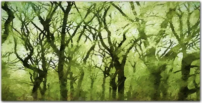 Produktbild von Coloray Bild aus Leinwand 120x60 Leinwand Dekoration - Wald