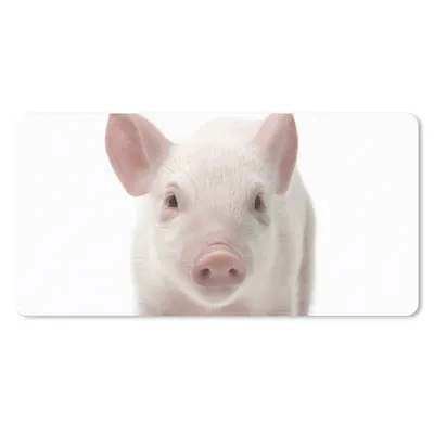 Produktbild von MuchoWow® Mauspad Mousepad Schwein - Tiere - Weiß 60x30 cm - Mousepads - Maus Mat - Pad - Mausunterlage - Nachhaltig