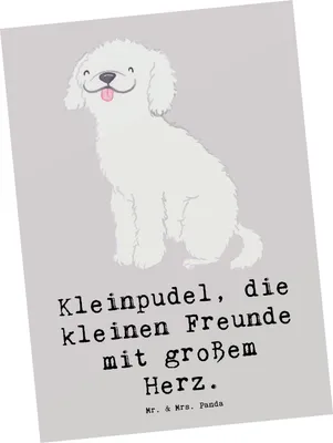 Produktbild von Mr. & Mrs. Panda Postkarte Kleinpudel Liebe - Grau Pastell - Geschenk, Familienhund, Hunderasse, intelligenter Hund, bildkarte, einzigartiger, Hundeliebhaber, zu Hunden