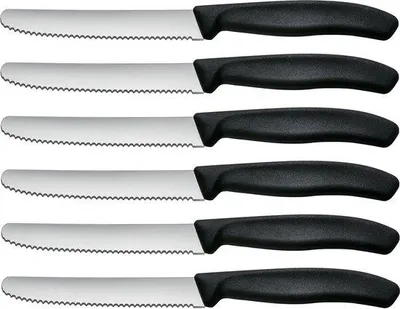 Image de Couteaux de table, lot de 6, en acier inoxydable, dentelés, lavables au lave-vaisselle